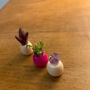 Set of 3 Tiny Faux Plants and Crystal